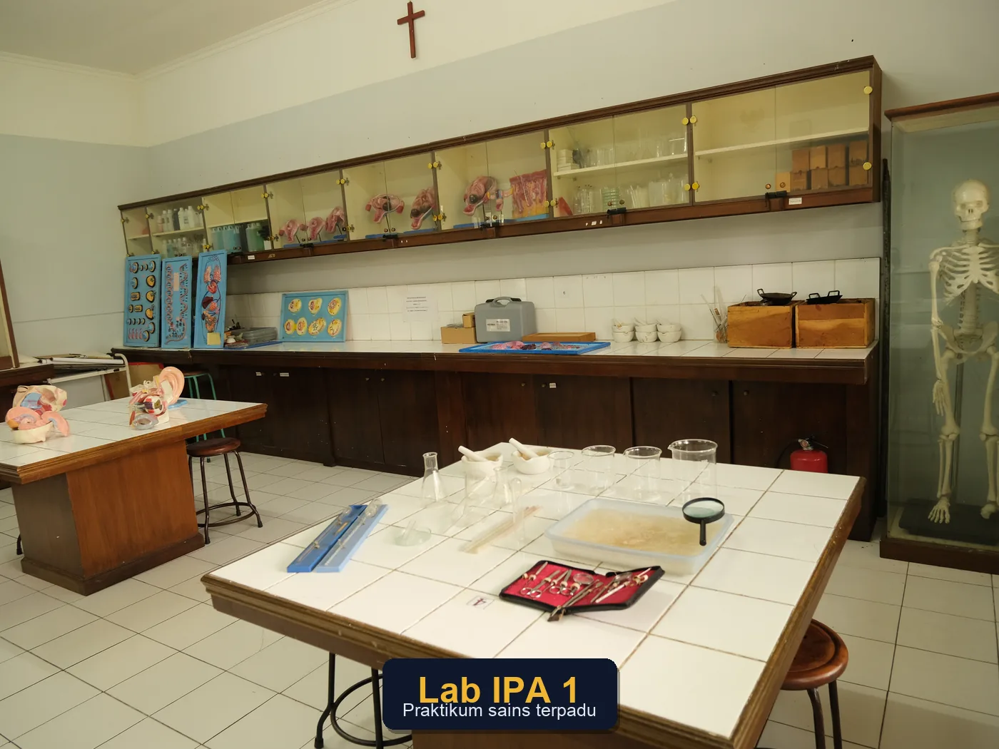 Lab IPA 1
